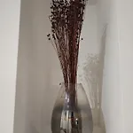 Il Sogno Del Viandante 3* Assisi
