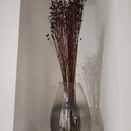 Il Sogno Del Viandante 3* Assisi