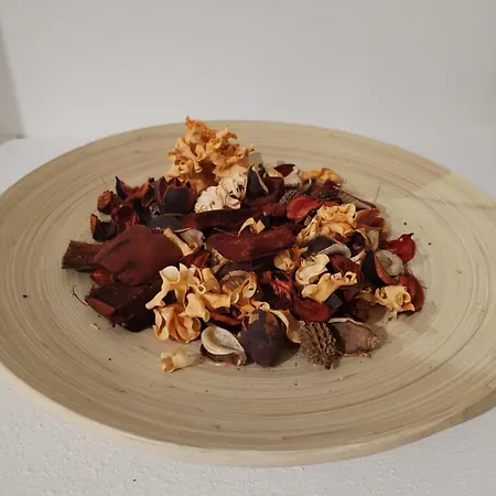 Il Sogno Del Viandante